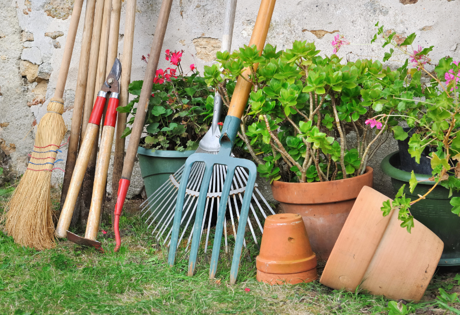 garden tools next to potted plants